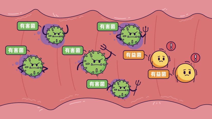 肠道菌群一定要知道的7大功能