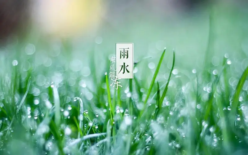 雨水生寒湿，健脾养胃有妙招